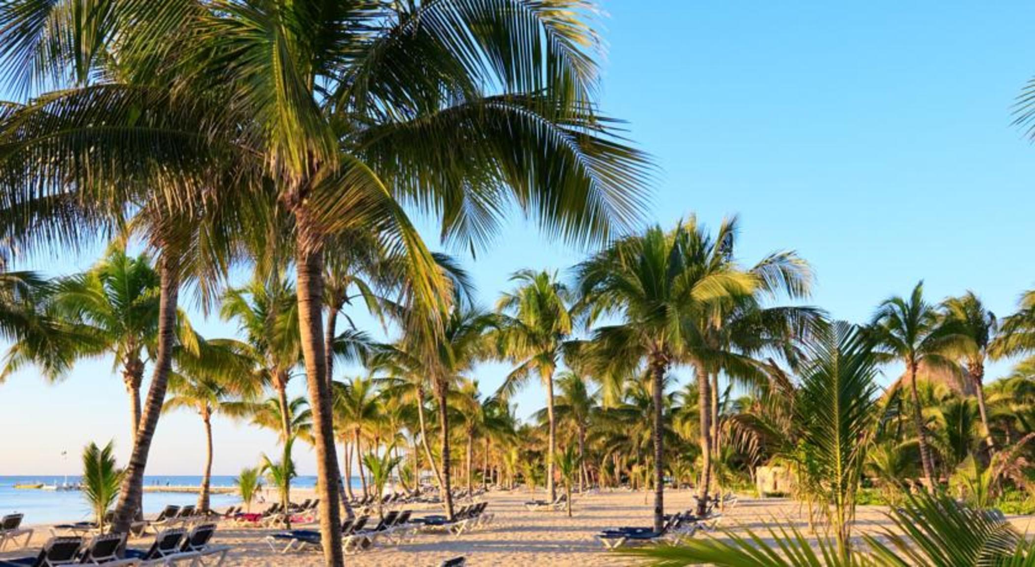 Hacienda Paradise Boutique By Xperience
